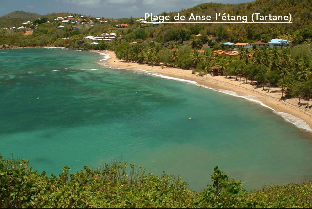 F3 Hibiscus - Piscine Chauffee - Vue Mer - 9 Min De La Plage - Ti Zwezo Paradi Trinite  Exterior foto